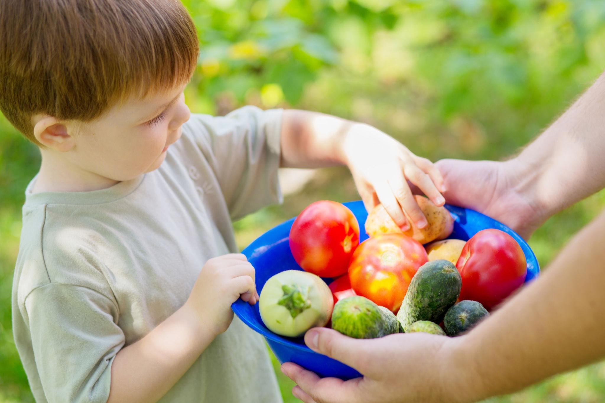 Pre-K learning about vegetables and nutrition at Lollipop Patch